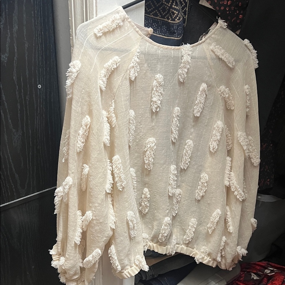 Zara Beige Sheer Blouse